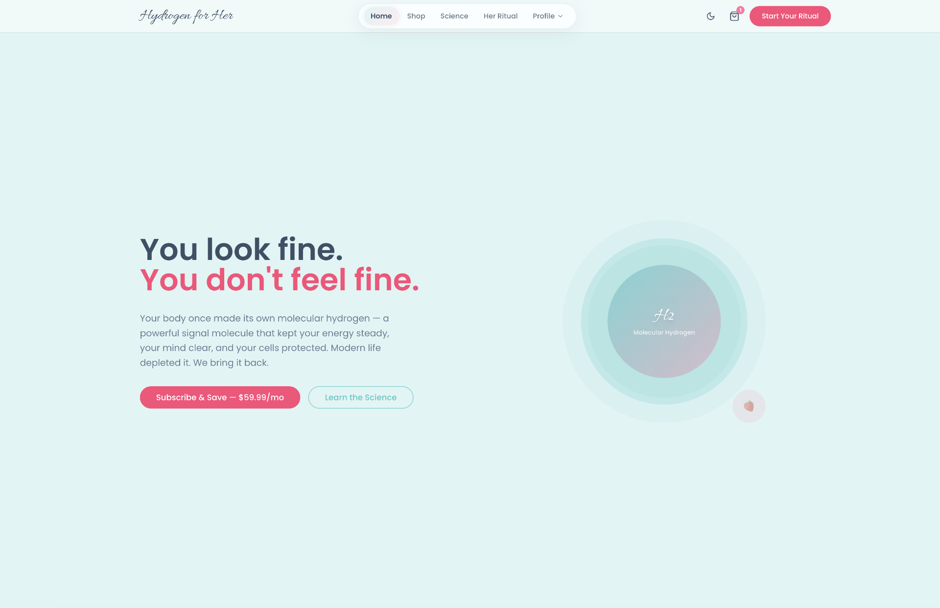 Hydrogen for Her homepage